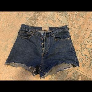 Everlane Cheeky Denim Shorts